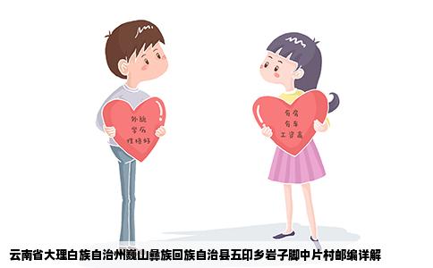 云南省大理白族自治州巍山彝族回族自治县五印乡岩子脚中片村邮编详解