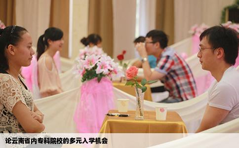论云南省内专科院校的多元入学机会