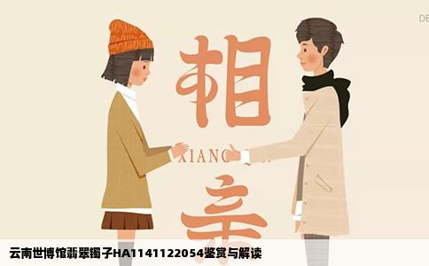 云南世博馆翡翠镯子HA1141122054鉴赏与解读