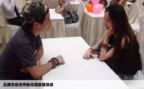 云南市自治州自治县数量详述