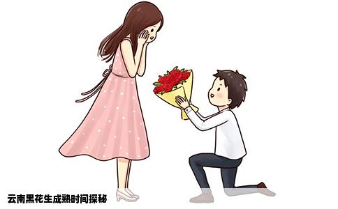 云南黑花生成熟时间探秘