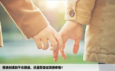 相亲时遇到不合眼缘，还需否尝试培养感情？
