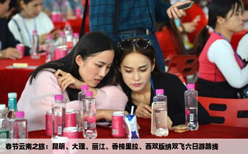 春节云南之旅：昆明、大理、丽江、香格里拉、西双版纳双飞六日游路线