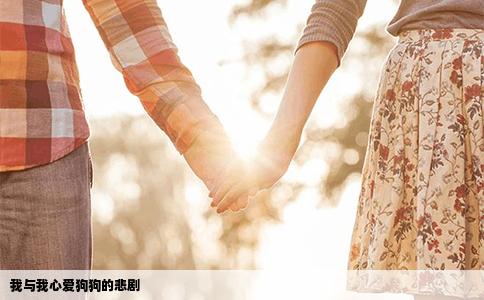 我与我心爱狗狗的悲剧