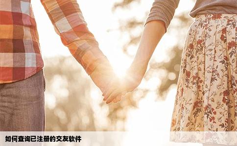 如何查询已注册的交友软件