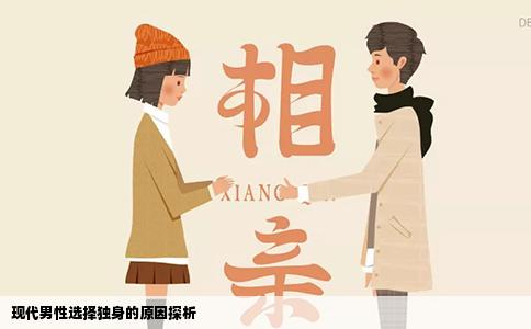 现代男性选择独身的原因探析