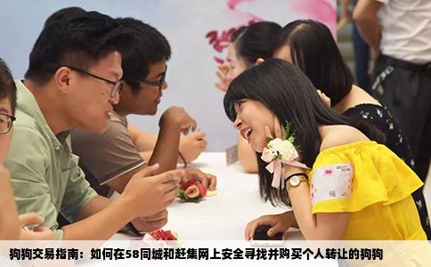 狗狗交易指南：如何在58同城和赶集网上安全寻找并购买个人转让的狗狗