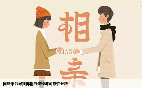 网络平台寻找伴侣的途径与可靠性分析