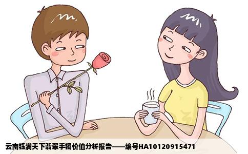 云南钰满天下翡翠手镯价值分析报告——编号HA10120915471