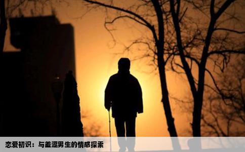 恋爱初识：与羞涩男生的情感探索