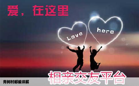 青树村邮编详解