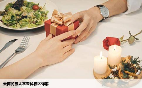 云南民族大学专科校区详解